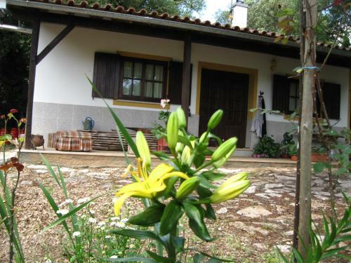 Guesthouse D Nuno