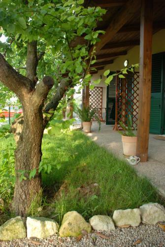 Hostal Don Federico Country Inn