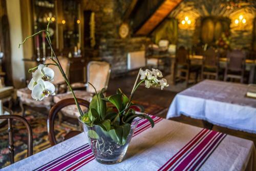 Agroturismo Sosola