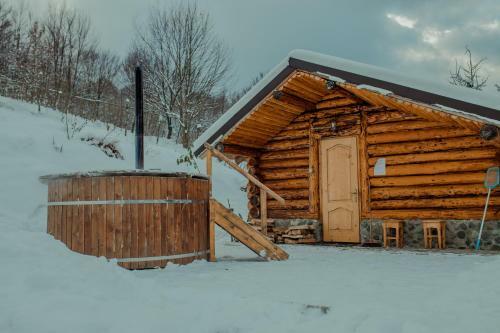 Hostal Conacul Drahneilor