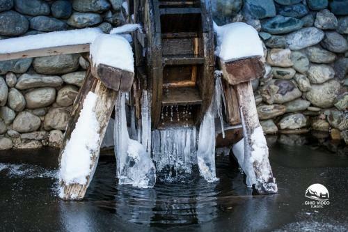 Hostal Conacul Drahneilor