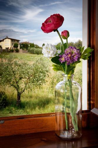 Hostal Agriturismo Ai Linchi