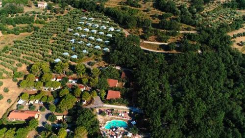 Hostal Cerquestra Camping Village