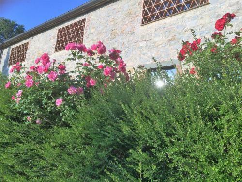 Hostal Residenzia Del Sogno