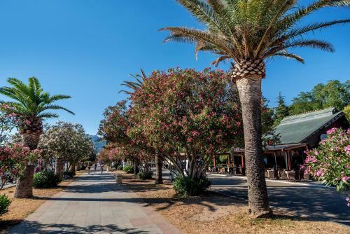 Hotel Villa Antivari