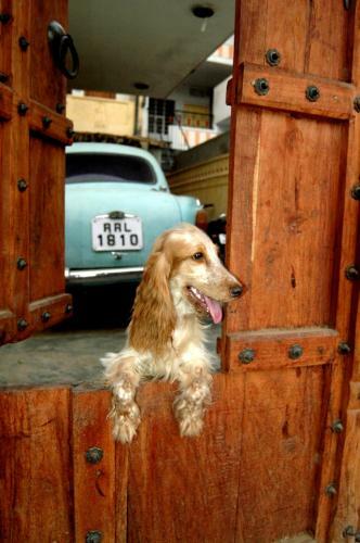 Hostal Sneh Deep Guest House
