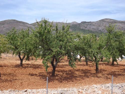 Agroturismo Casa Almar