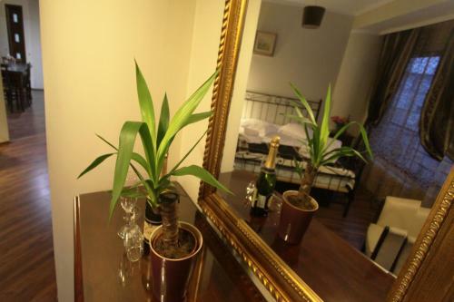Aparthotel Ss Residence Unirii