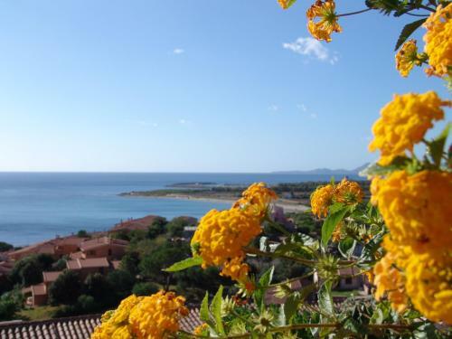 Le Residenze Di Porto Corallo