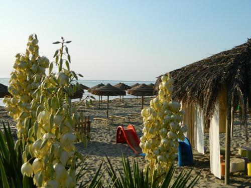Le Residenze Di Porto Corallo