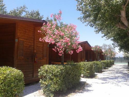 Hostal Campeggio Europa