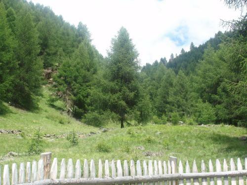 Apartamento Rieglhof