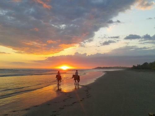 Bed & Breakfast Encantada Ocean Cottages