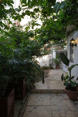 Apartamento Villa Vilina Oasis In Neve Tzedek