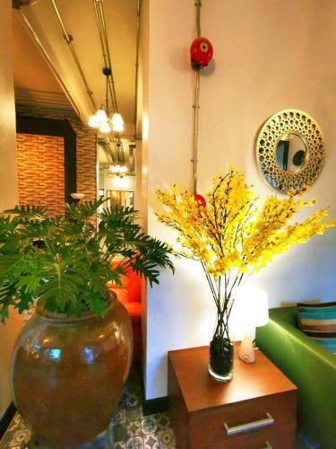 Apartamentos Beach Gallery House