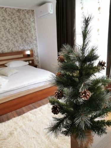 Hostal Pensiunea Poiana Bucovat