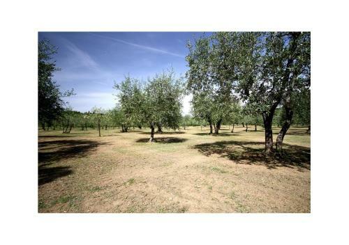 Agroturismo Agriturismo Molinuzzo