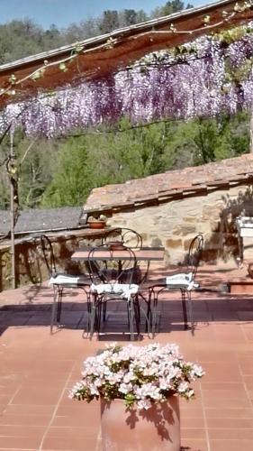 Agroturismo Agriturismo Molinuzzo