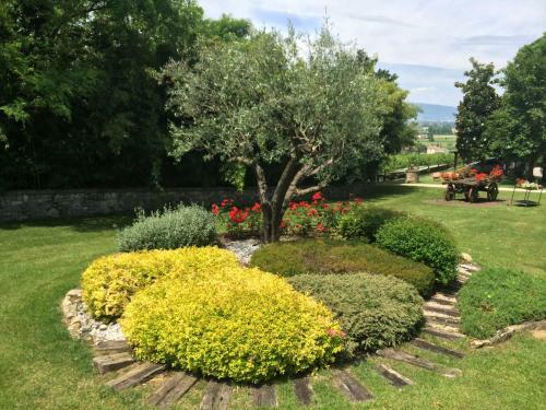 Hostal Agriturismo Al Colle Del Ciliegio