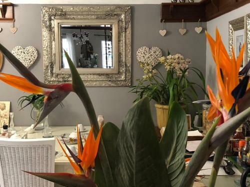 Blarney House B&B