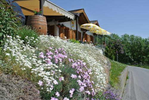 Hostal Ustria / Pensiun Trutg