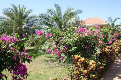 Hotel Ao Thai Resort
