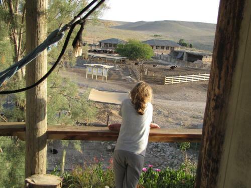 Agroturismo Alpaca Farm