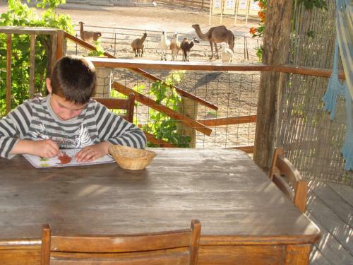 Agroturismo Alpaca Farm