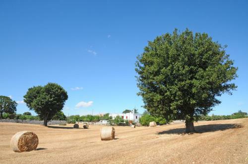 Bed & Breakfast Quercia Verde