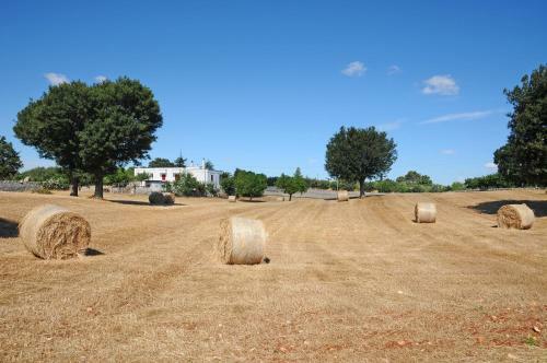Bed & Breakfast Quercia Verde