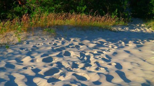 Hostal Provincija