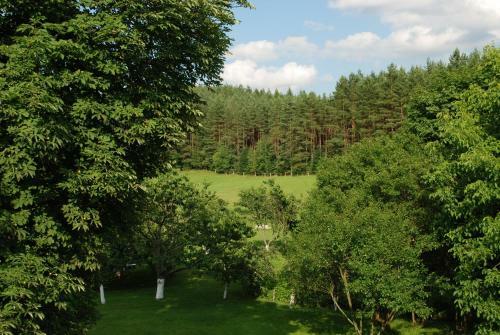 Hostal Apartamenty Nad W?glem