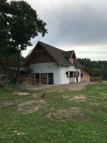 Hostal Apartamenty Nad W?glem