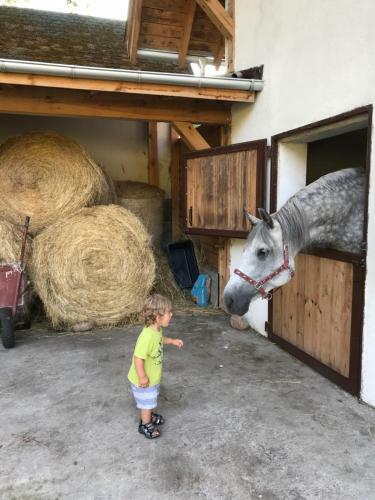 Hostal Apartamenty Nad W?glem