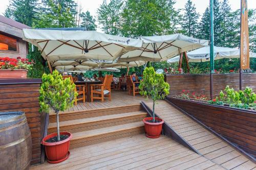 Hostal Hotel Piatra Soimului