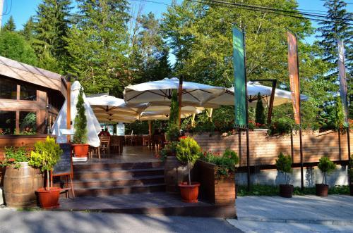 Hostal Hotel Piatra Soimului
