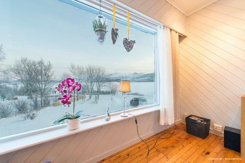 Midt I Lofoten