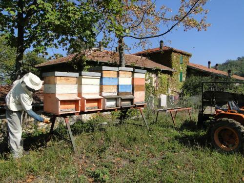 Agroturismo Casanuova