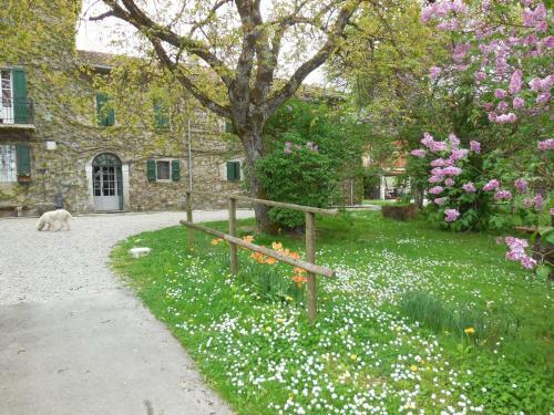 Agroturismo Casanuova