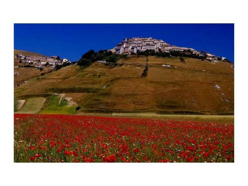 Agroturismo Le Acacie Felici