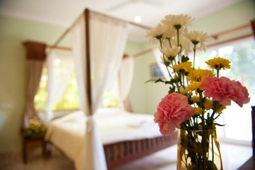 Hostal Splash Inn