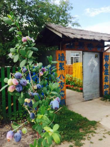 Agroturismo Mohe Yuan Ju Hostel