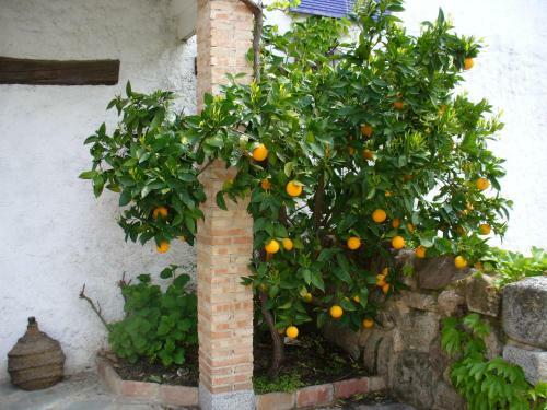 Agroturismo Hotel Casa De Labranza