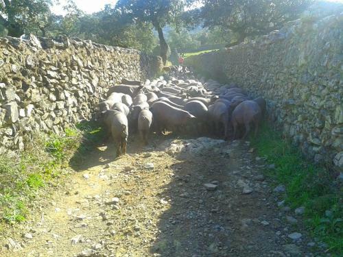 Agroturismo Casa Rural Del Rio
