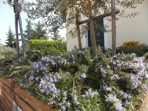 Hostal Terra Dei Santi Country House