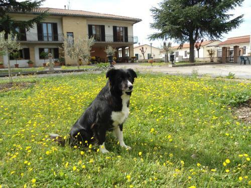 Hostal Terra Dei Santi Country House