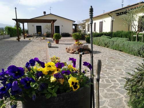 Hostal Terra Dei Santi Country House