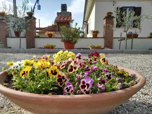 Hostal Terra Dei Santi Country House