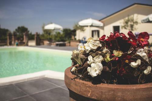 Hostal Terra Dei Santi Country House
