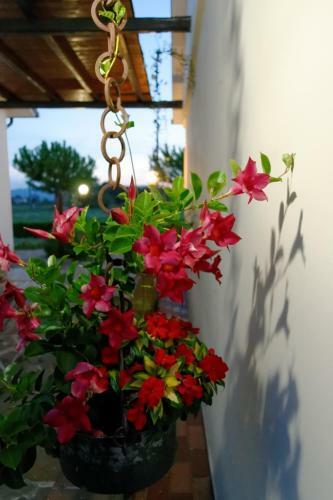 Hostal Terra Dei Santi Country House